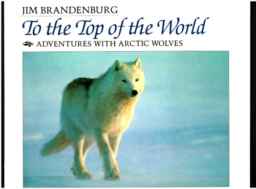 The top - to,